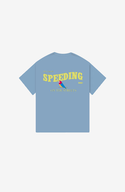 SPEEDING VINTAGE SKY OVERSIZED T-SHIRT